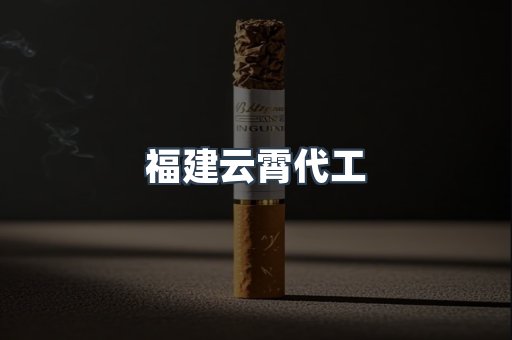 福建云霄代工